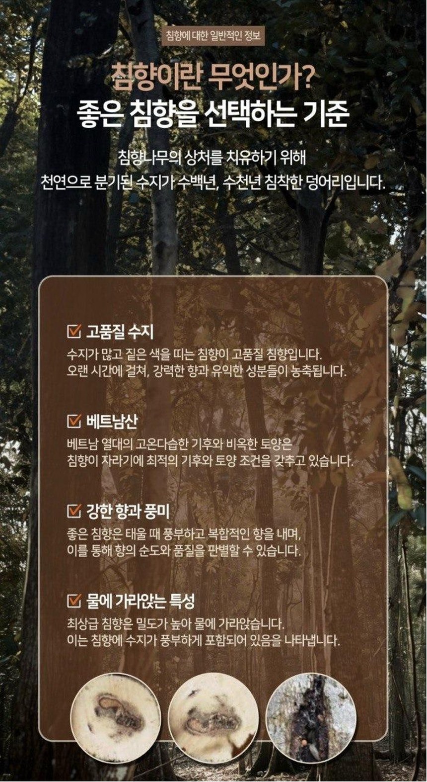 침향이란?