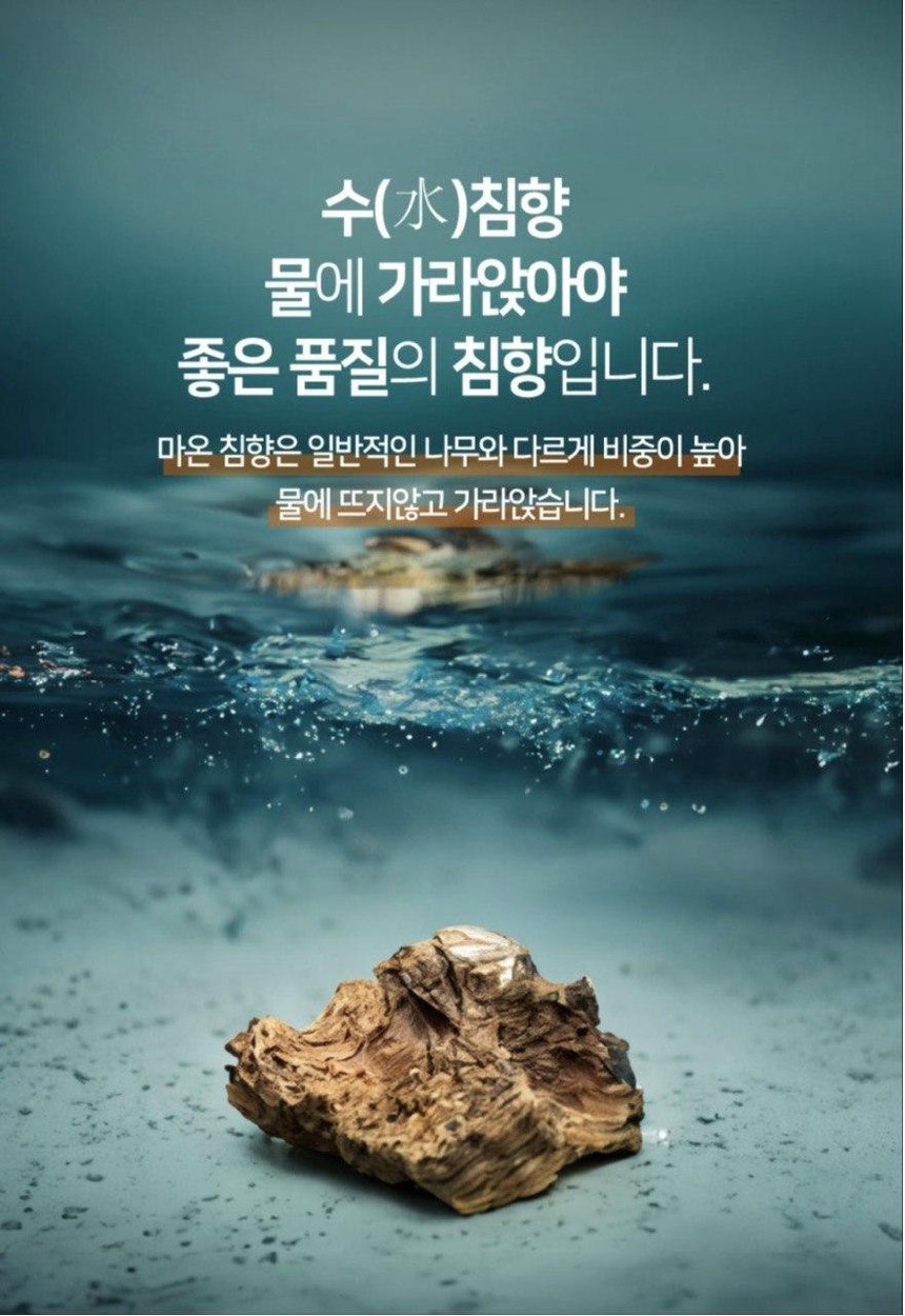 수침향 테스트